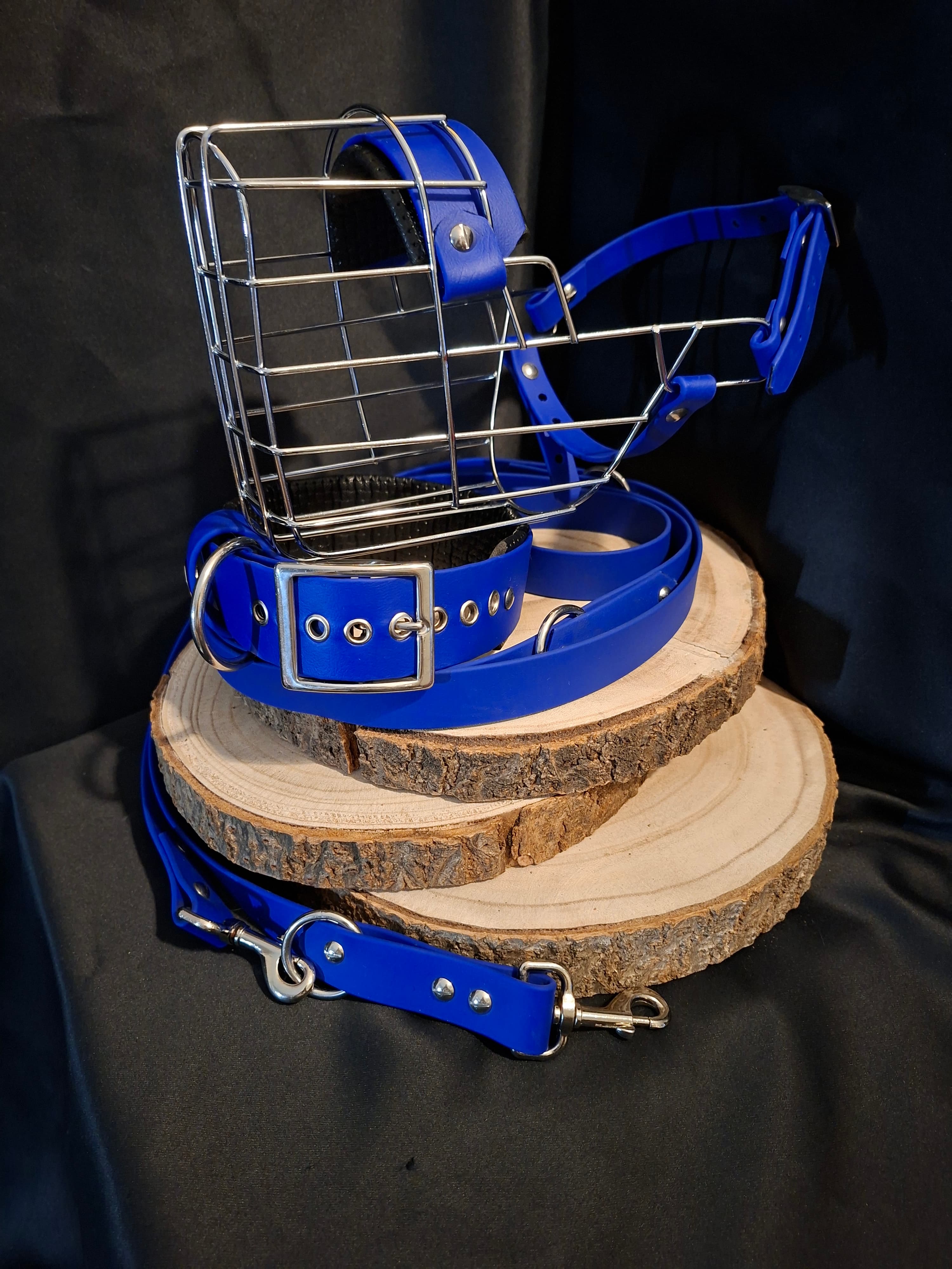 Leinen- und Halsband-Set in Blau