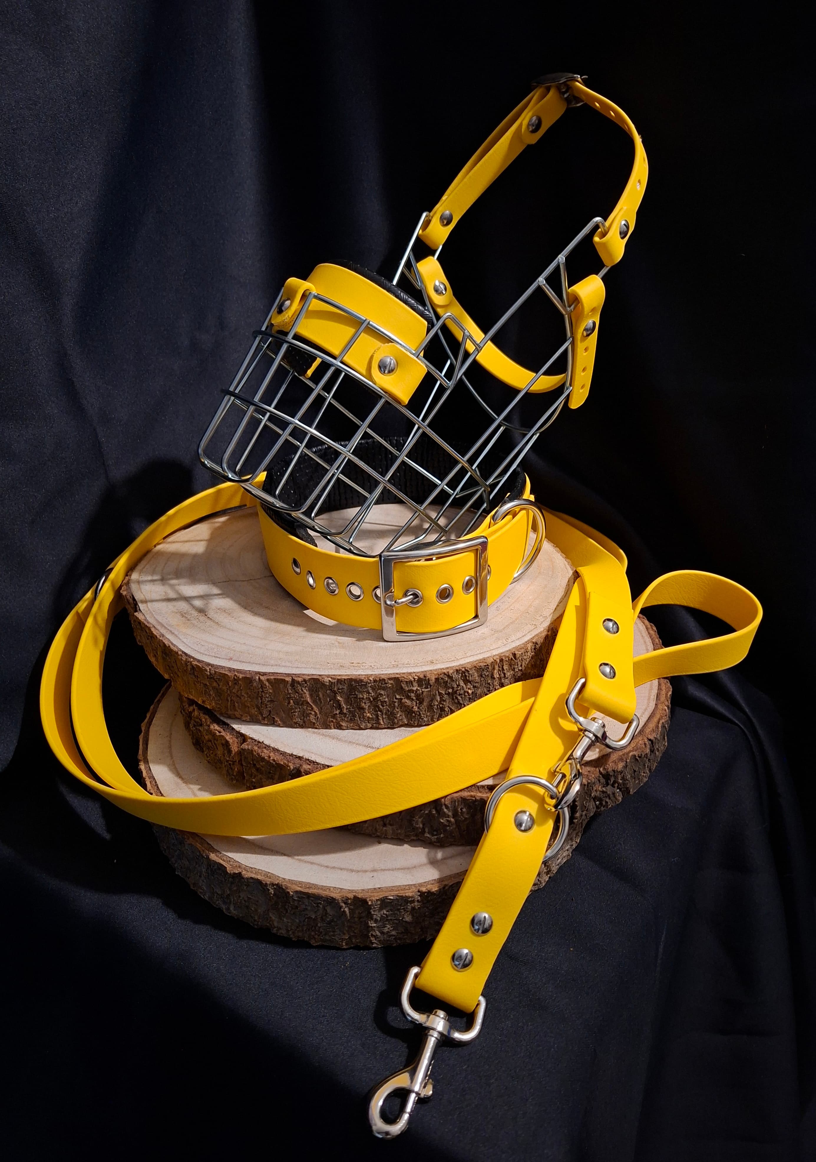 Leinen- und Halsband-Set in GoldGelb