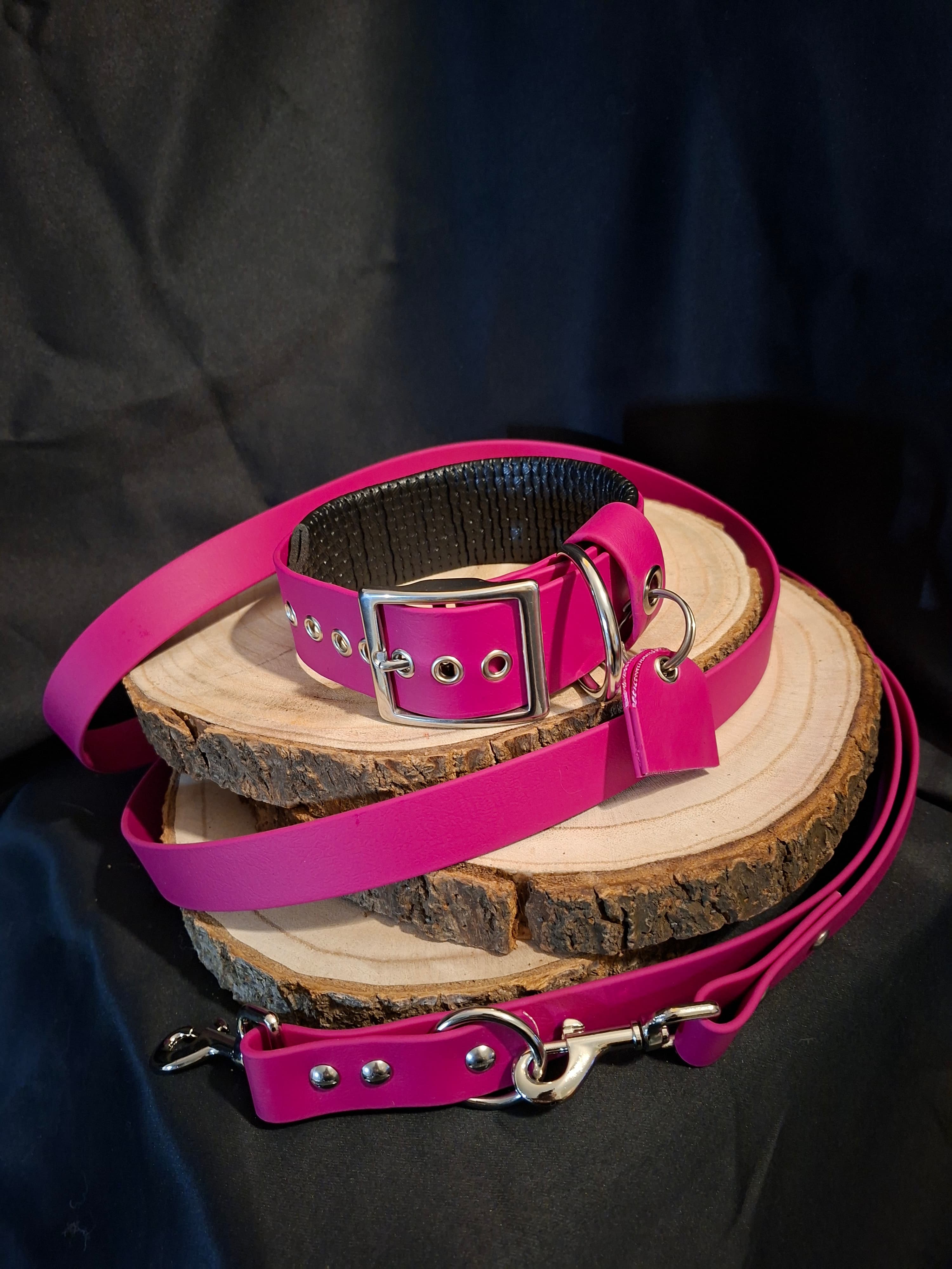 Leinen- und Halsband-Set in Pink