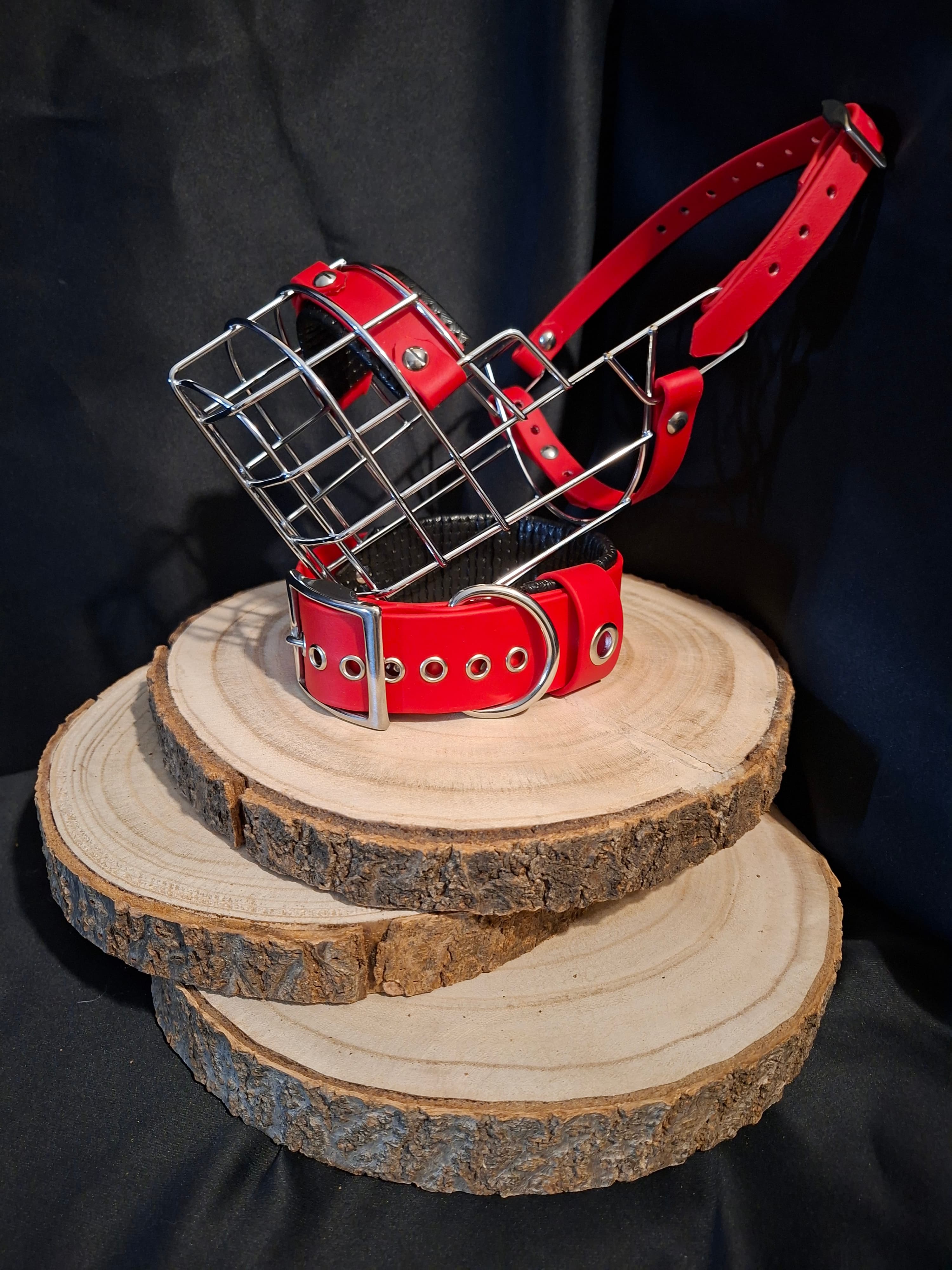 Leinen- und Halsband-Set in Grün